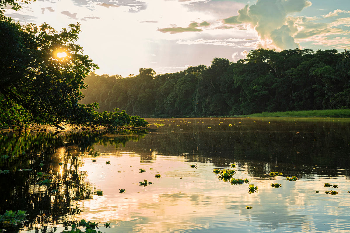 Río en la selva amazónica al atardecer